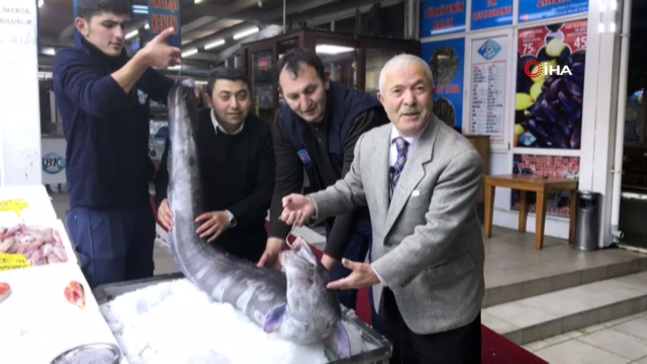 3 metre boyundaki dev yılan balığı görenleri hayrete düşürdü