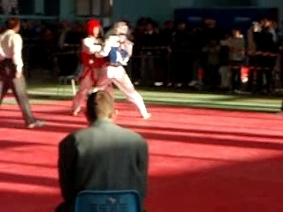 taekwondoe nice 3