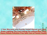 RainierLight Modern Ceiling Fan LED Light 5 Reversible Metal Blades with Remote Control