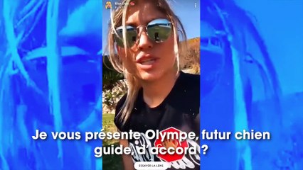 Elsa Dasc : refusée dans un uber pour son chien guide d’aveugle, elle pousse un coup de gueule