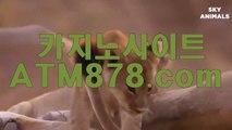 더킹카지노《《ＳＴＫ４２４.ＣＯＭ》》라이브카지노주소 더킹카지노《《ＳＴＫ４２４.ＣＯＭ》》라이브카지노주소