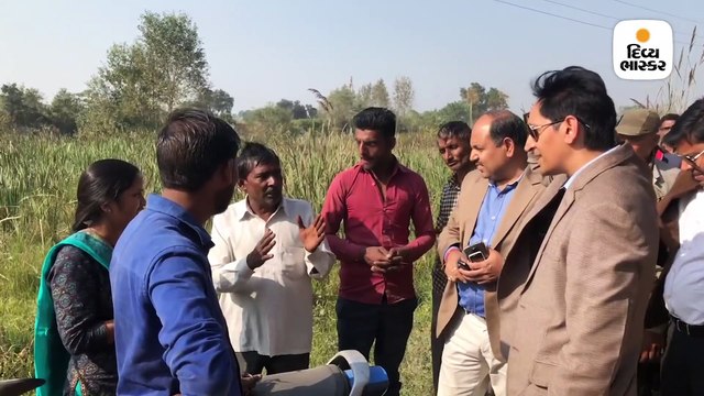 આ કલેક્ટરની હિંમતને સલામ, સ્ટોન ક્રશરમાં થતી લૂંટને ઊઘાડી પાડી, માલિકને આપી ધમકી, કહ્યું હવે બોલ્યા તો જેલમાં નાખી દઈશ