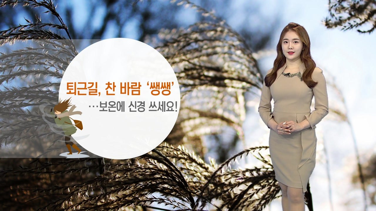 [날씨] 퇴근길 찬바람 '쌩쌩'...중부·전북 '한파주의보' / YTN