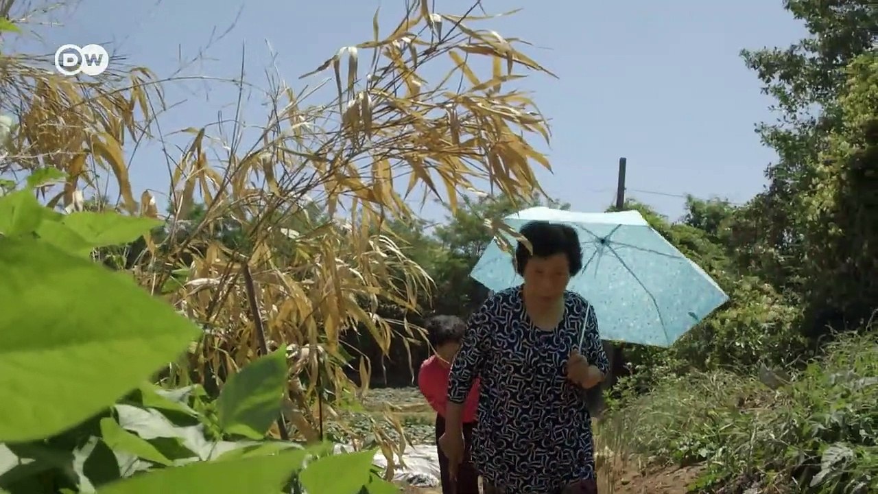 A lack of women in Asia  (Society Documentary)