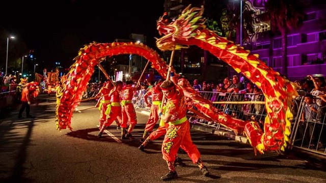 Afrique du Sud : un carnaval pour célébrer la diversité