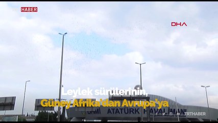 İstanbul hava sahasında "leylek" alarmı
