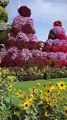 WINTERS ONLY - Miracle garden dubai flower garden, Opens up only in winters