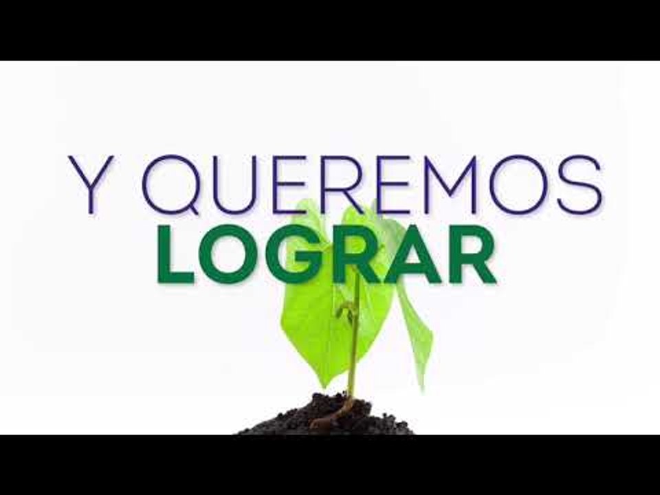 Nuestros valores