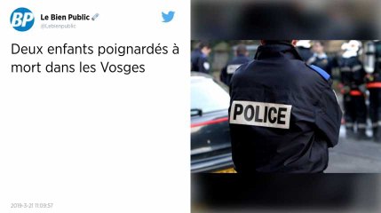 Vosges. Deux enfants de 4 et 10 ans tués à coups de couteau, leur mère internée.