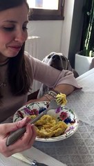 Dog becomes a statue while begging owner for ravioli