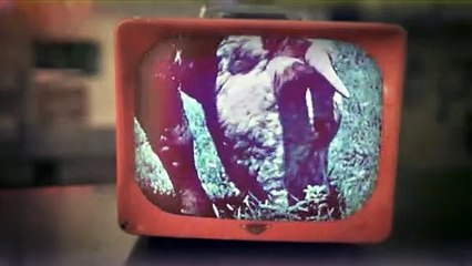 Main Street Meats Movie