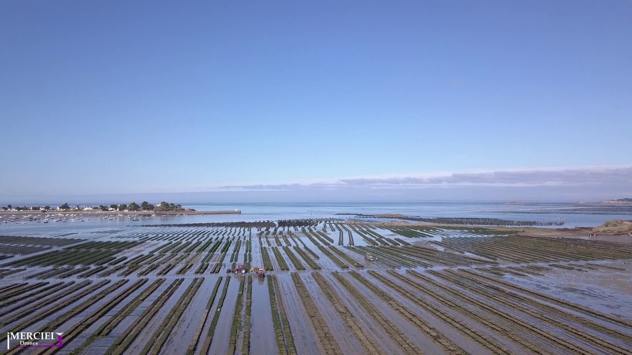 Marée basse