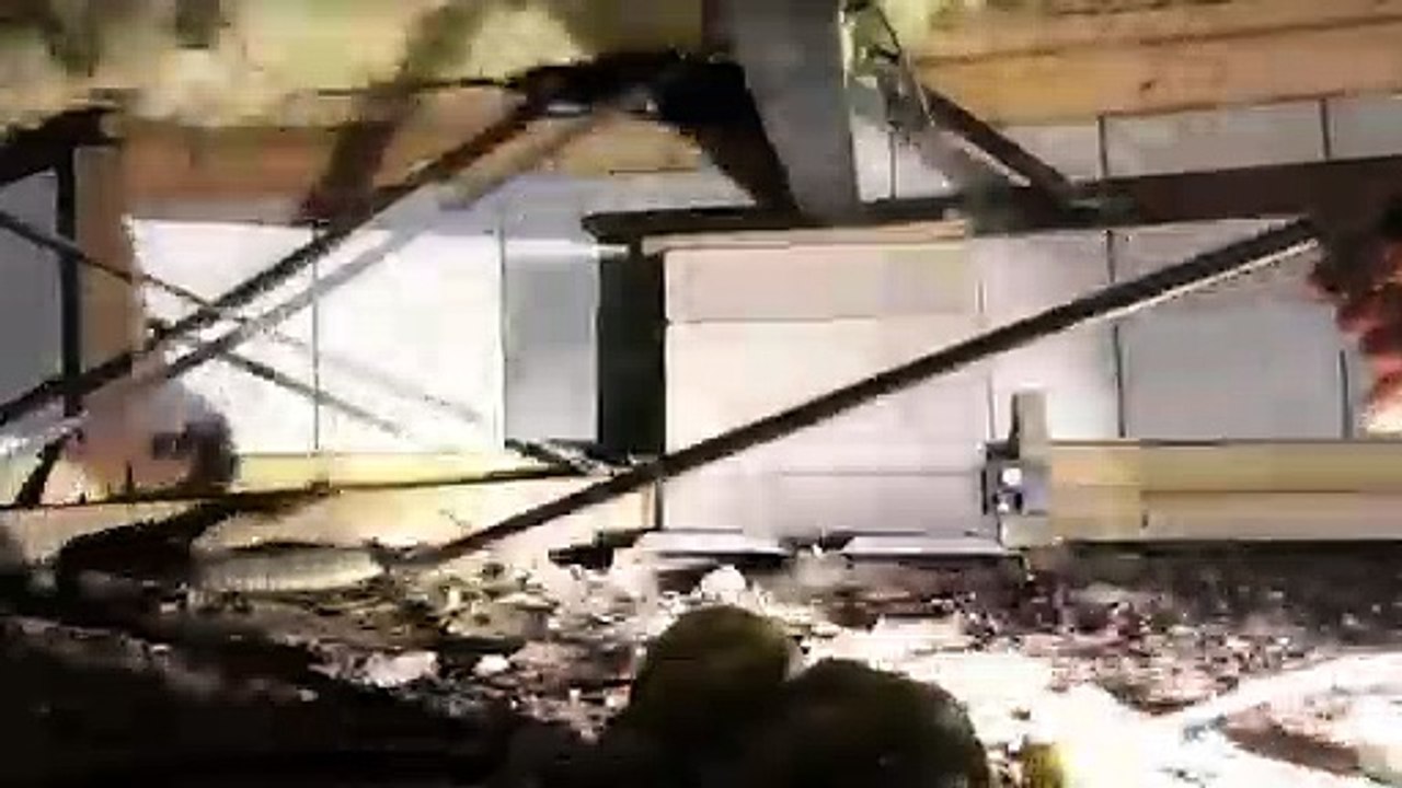 Large-scale invasion: 45 rattlesnakes found under Texas home