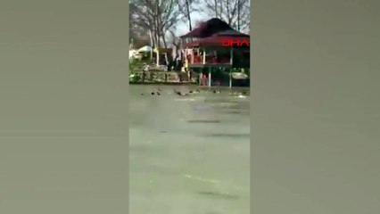 Irak'ta facia! Dicle Nehri'nde tekne battı: En az 40 ölü