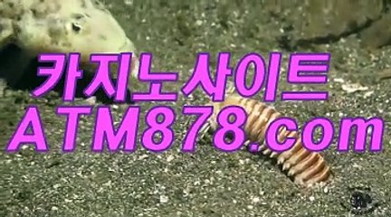 온라인인터넷바카라《《ＳＴＫ４２４.ＣＯＭ》》인터넷바카라추천 온라인인터넷바카라《《ＳＴＫ４２４.ＣＯＭ》》인터넷바카라추천
