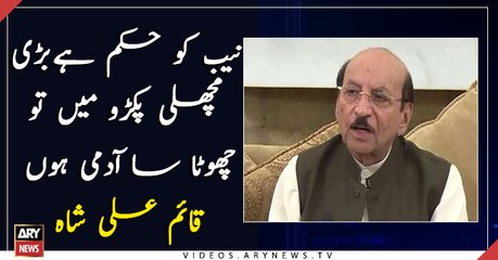 NAB should go after big fish, I am a commoner: Qaim Ali Shah