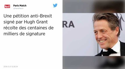Plus de 700 000 Britanniques signent une pétition contre le Brexit.