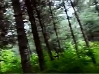 온라인바카라 https://www.nologo02.com〈˝카지노사이트˝〉