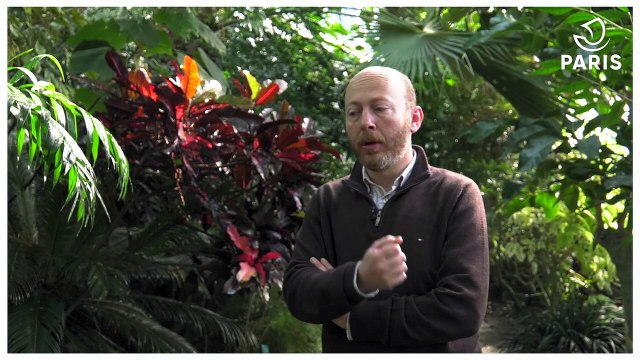 Régis Crisnaire, le botaniste du jardin botanique de Paris