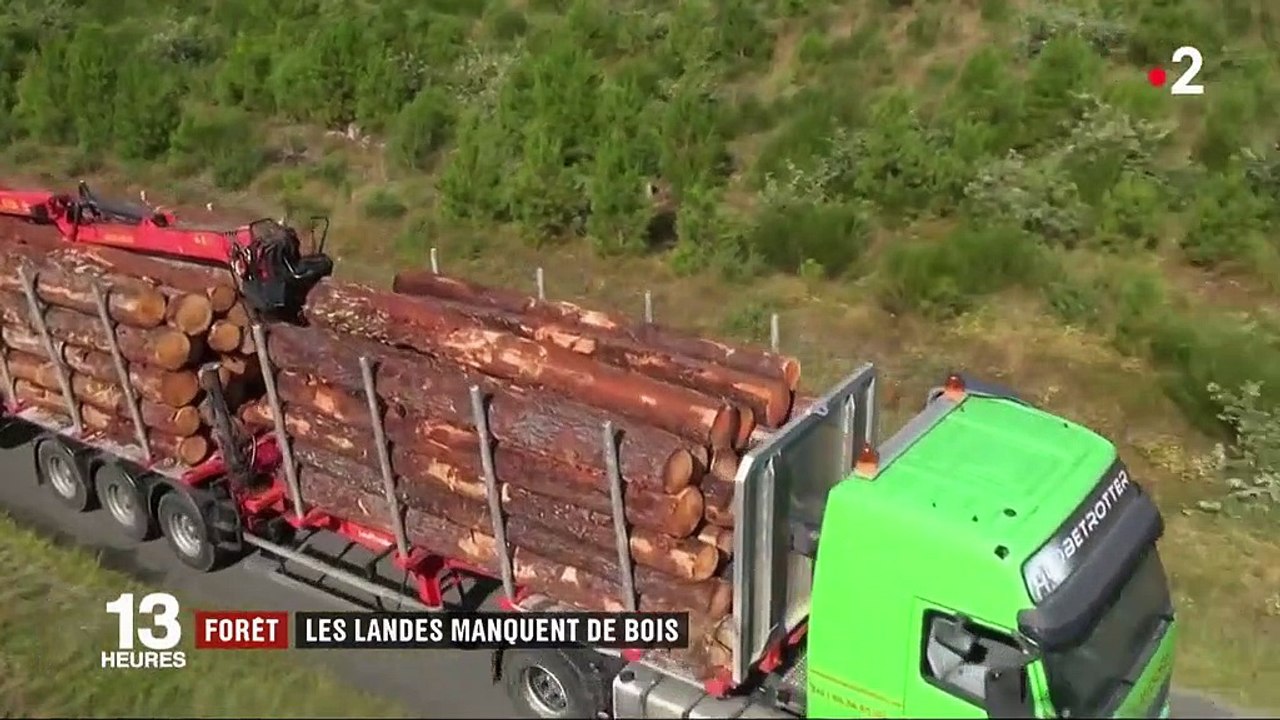 Forêt : après la tempête de 2009, les Landes manquent de bois