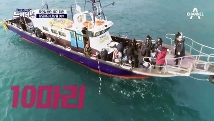 황금배지 대방출의 날! 줄줄이 고기에 도시어부 파뤼 타임~♬