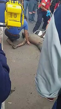 Quemados vivos por vecinos del Naranjo