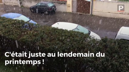 Il y a un an, la neige tombait dans les Bouches-du-Rhône...