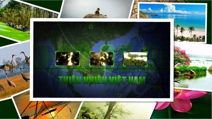 Thiên nhiên Việt Nam -21/03/2019