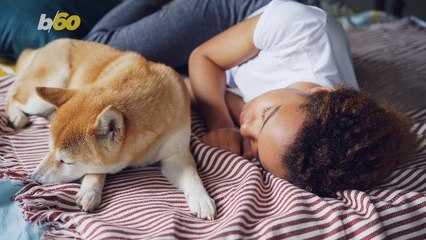 This Hotel Uses Astronaut Technology and Ice Cream to Put You to Sleep