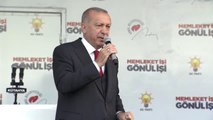 Erdoğan: 