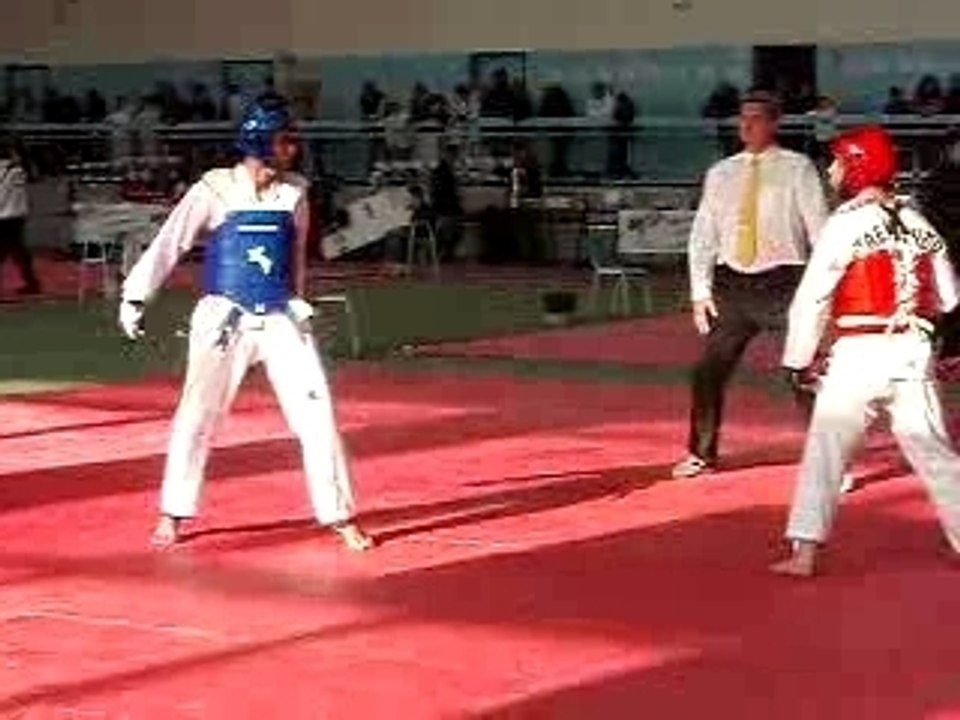 taekwondoe nice 2
