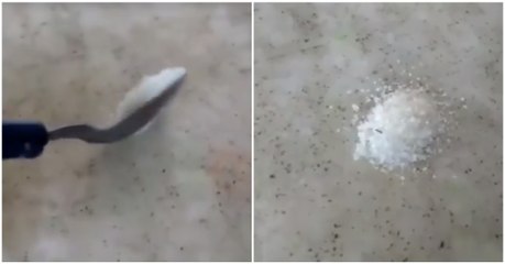 Como destruir a reputação de uma formiga perante a sua "comunidade"