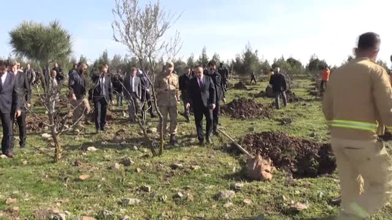 Denetimli Serbestlik Yükümlüleri Fidan Dikti