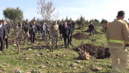 Denetimli Serbestlik Yükümlüleri Fidan Dikti