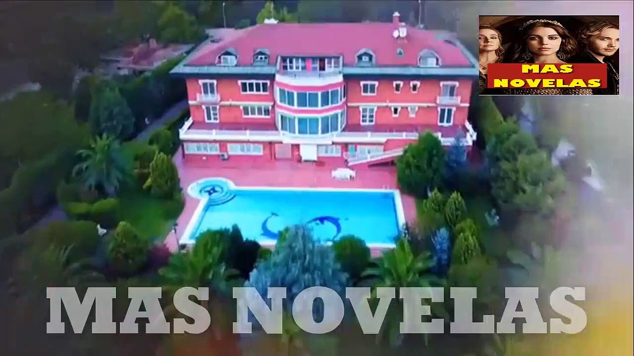 ELIF C 869- 870 EL CINISMO DE RANA J 21 . 2019