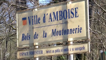 Amboise : le mystère des deux corps calcinés