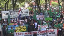 Miles de campesinos se concentran en Asunción por la reforma agraria