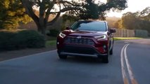 2019 Toyota RAV4 Cookeville TN | Toyota RAV4 Cookeville TN