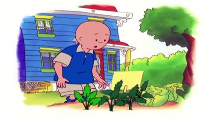 Kajtus po polsku | ręcznik do suszenia | Bajki dla dzieci | Animacja kreskówka | Caillou Polish