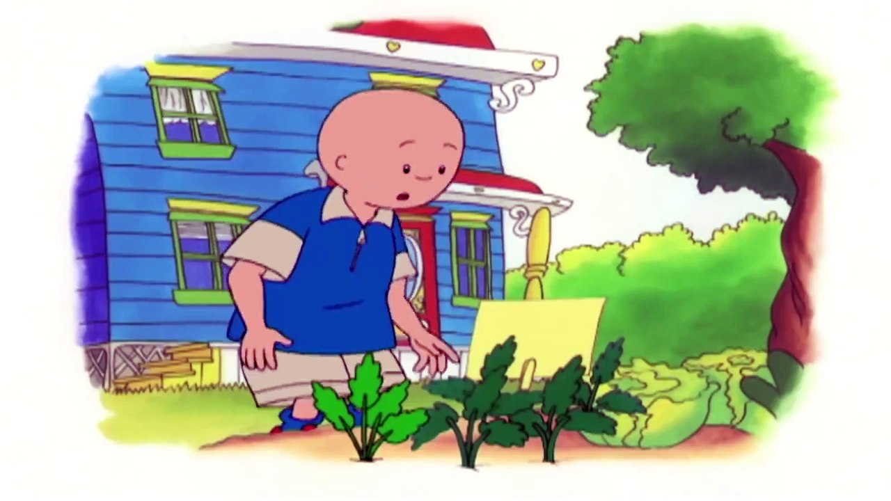 Kajtus po polsku | ręcznik do suszenia | Bajki dla dzieci | Animacja kreskówka | Caillou Polish