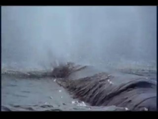 Pink Floyd   - Live in Saint Tropez Rare Full Footage-1970