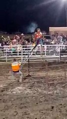 Teeter Totter Teases Rodeo Bull