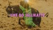 We Do Jallikattu Song #We Do Jallikattu #I Support Jallikattu