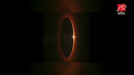 حصريا لـ #يحدث_في_مصر .. شريف عامر يكشف كواليس معرض توت عنخ آمون في باريس