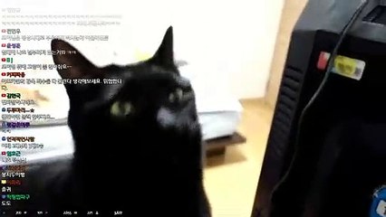 【단원출장안마】1ØØ%ョ후불【Ø7Ø↔7575↔0054 카톡KC789】そ【단원출장안마】전지역출장마사지【단원출장안마】출장마사지'콜걸【단원출장안마】출장아가씨'출장모텔œßþ출장마사지예약출장후불