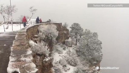 Spring hasn't come to the Grand Canyon yet