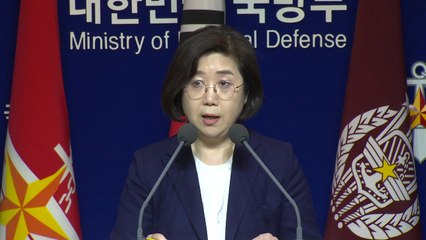 국방부 "천안함 피격·연평도 포격, 명백한 北의 도발" / YTN