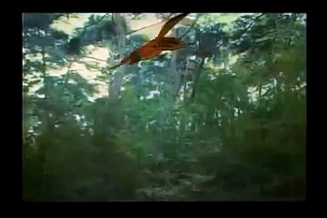 007카지노주소 https://www.nologo02.com【∥카지노사이트∥】