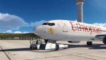 Reconstitution du crash du Boeing 737 max d'Ethiopian Airlines