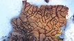 Yosemite National Park Shares Image Of Striking Patterns Carved By Beetle Larvae